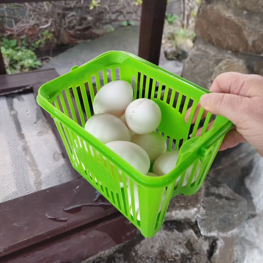 青森市内も少しづづ暖かくなってきましたねー😊