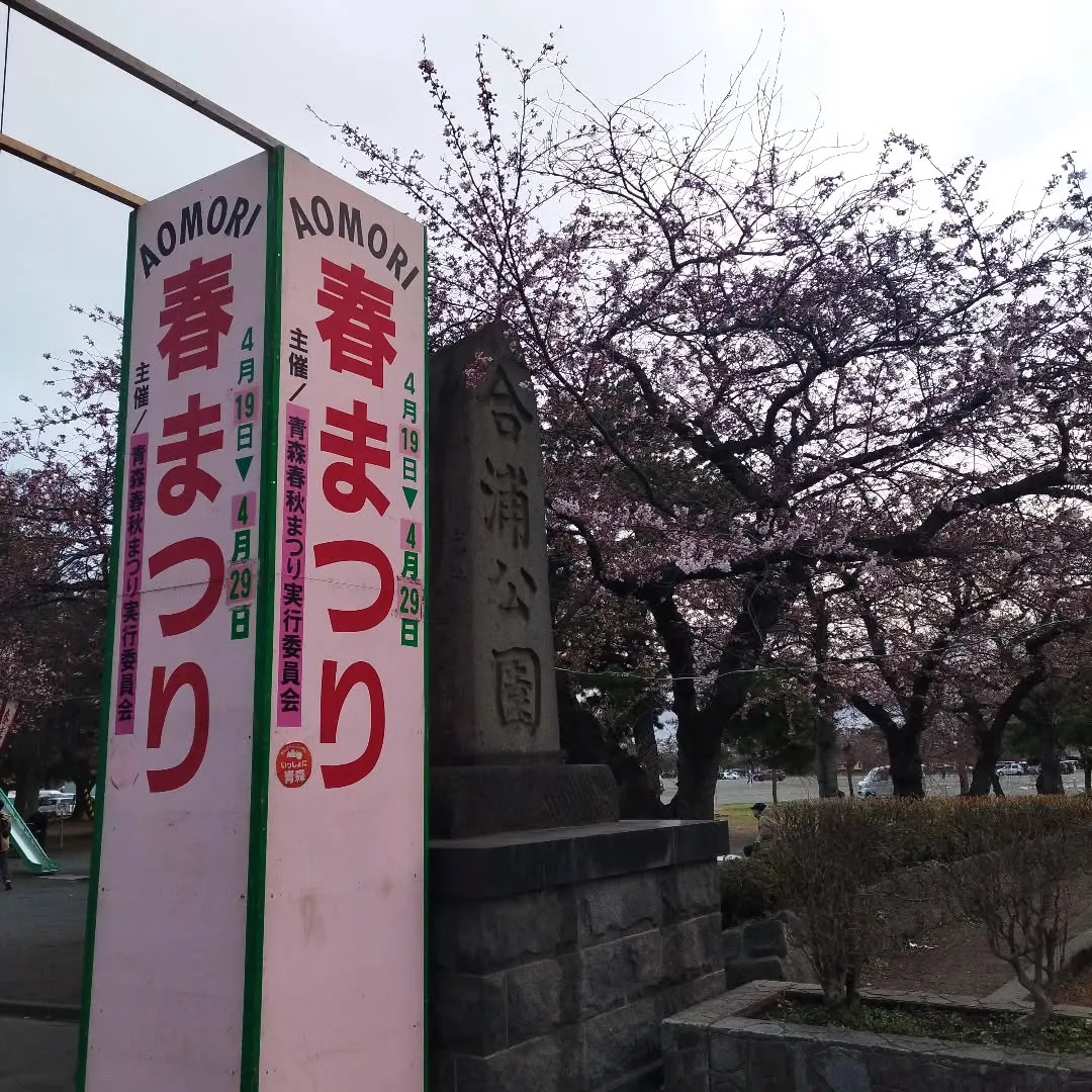 合浦公園春まつり😊